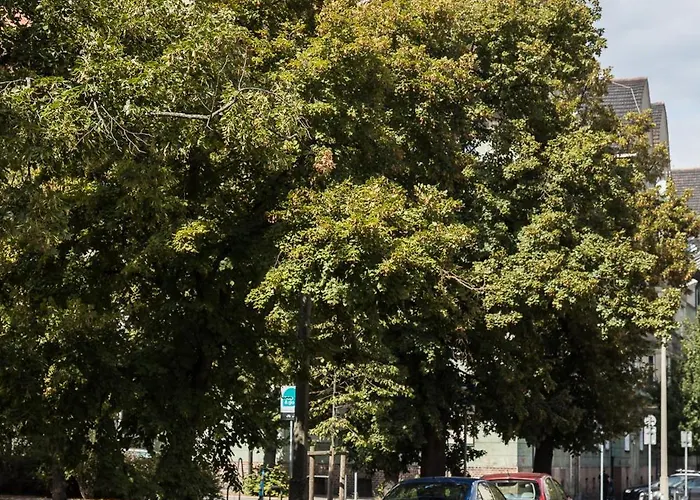 Apartmán Vildavibes